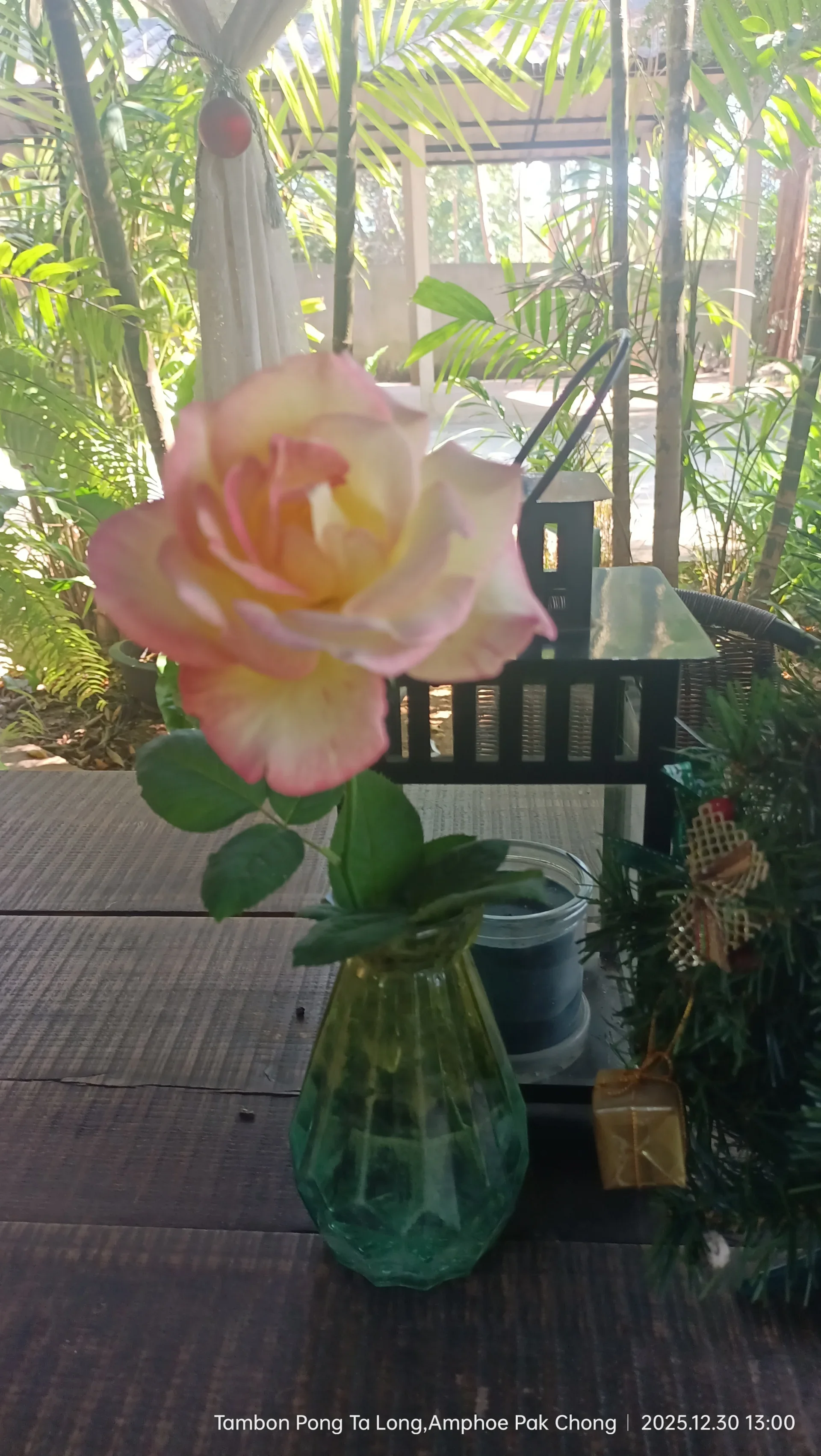 TheBistrokhaoyai พูลวิลล่าเขาใหญ่ รูปที่ 7