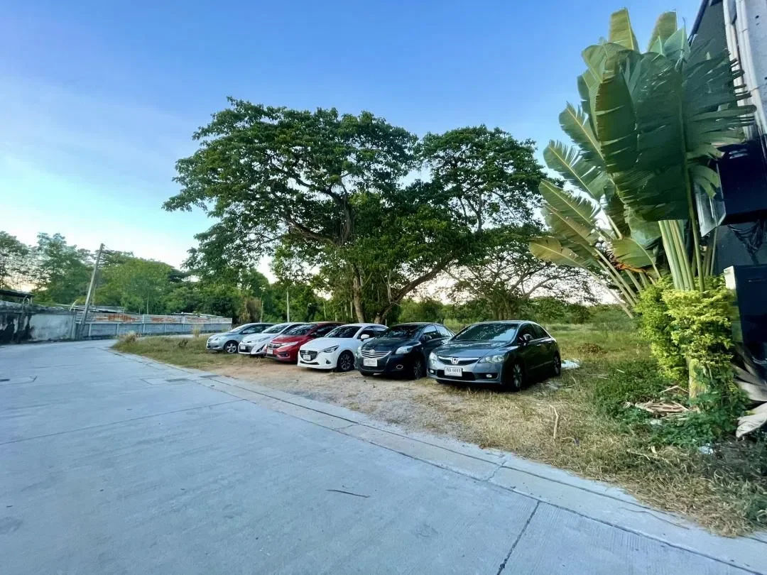 Prime Asia D5 รูปที่ 36