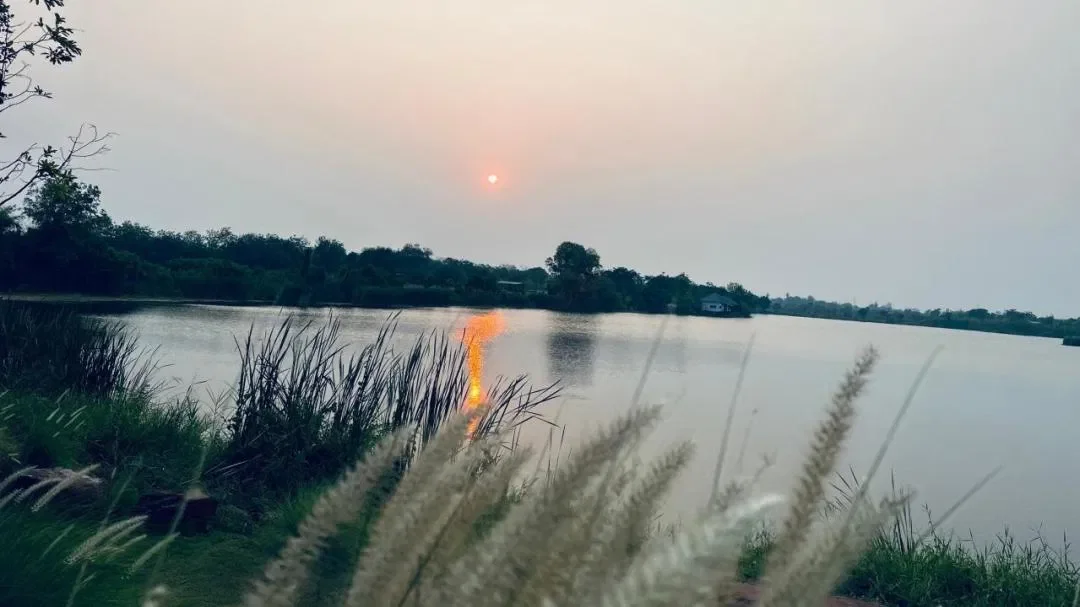 sunset1 รูปที่ 14