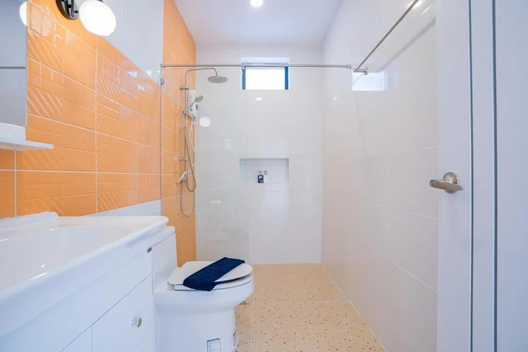 VIDA รูปที่ 17