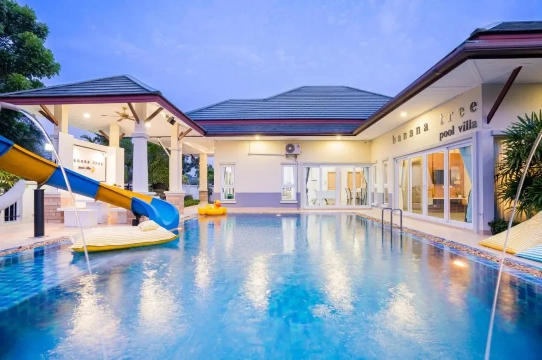 banana tree รูปที่ 16