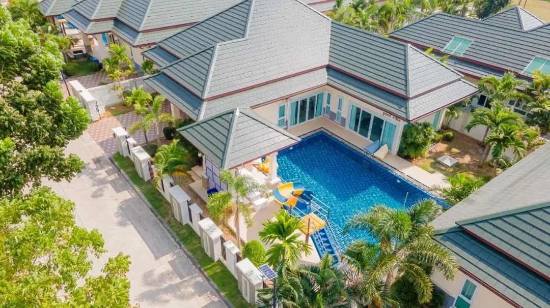 banana tree รูปที่ 41