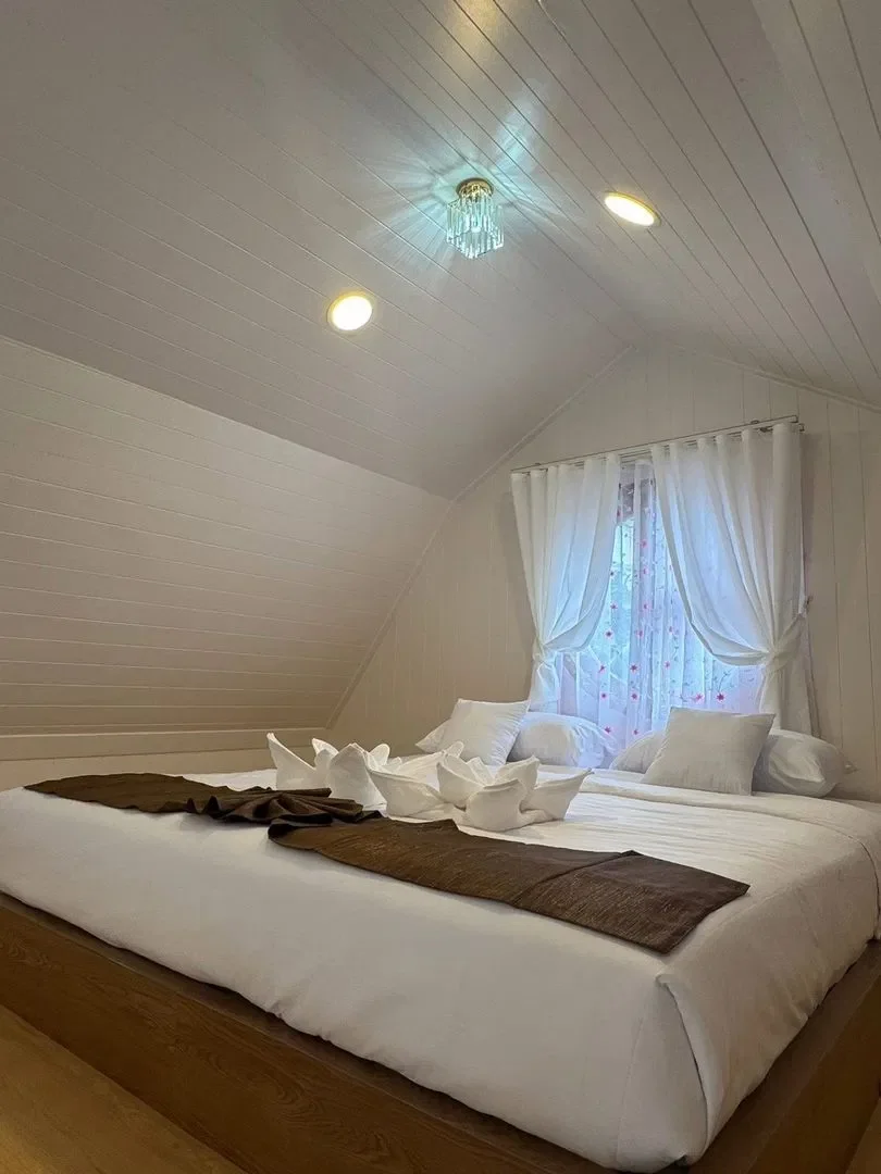 Brown Fram House No.9 photo 7