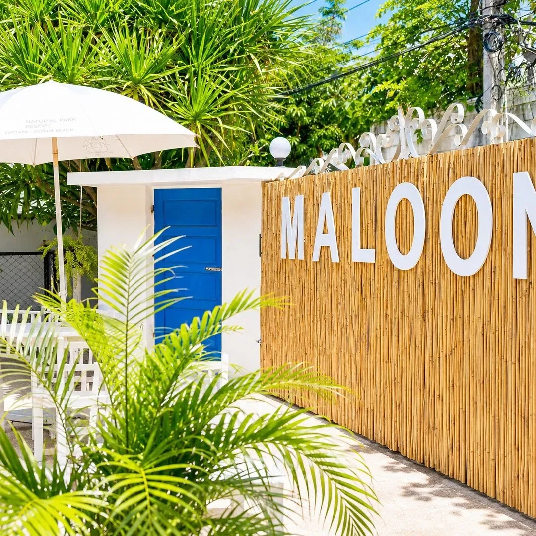 Maloon รูปที่ 27
