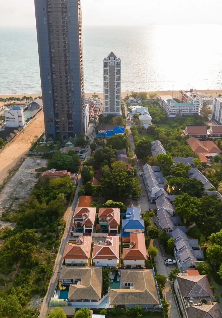 Kiwi รูปที่ 14