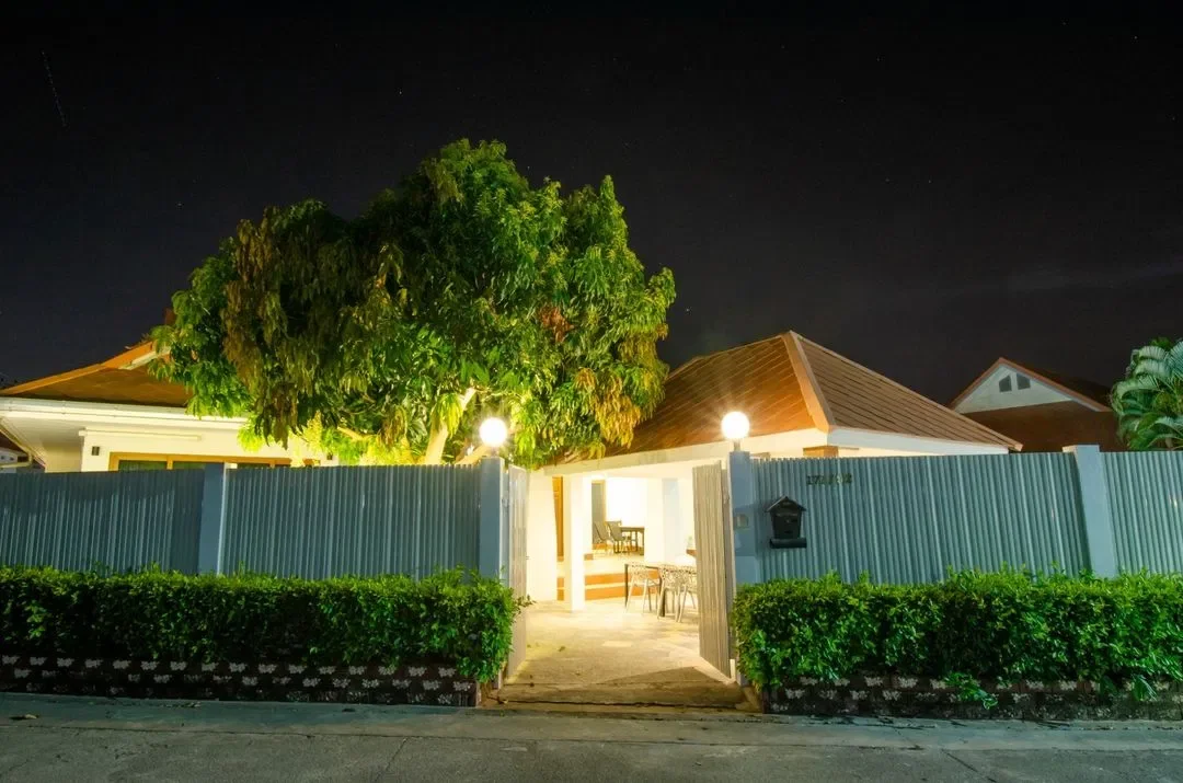 Mango tree รูปที่ 34