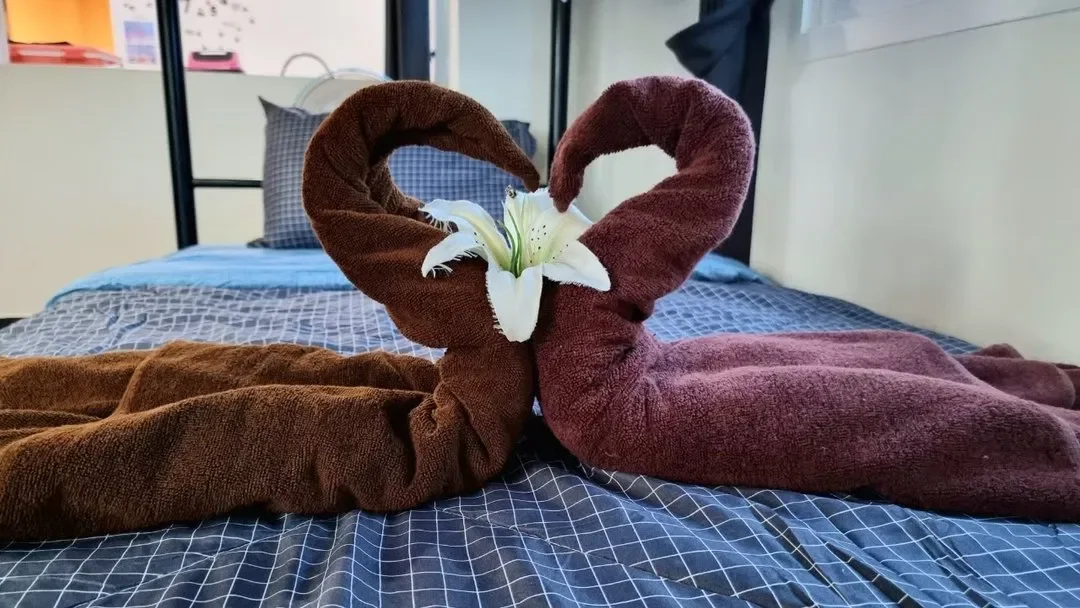 Heartbeat Loft In Dream第10张