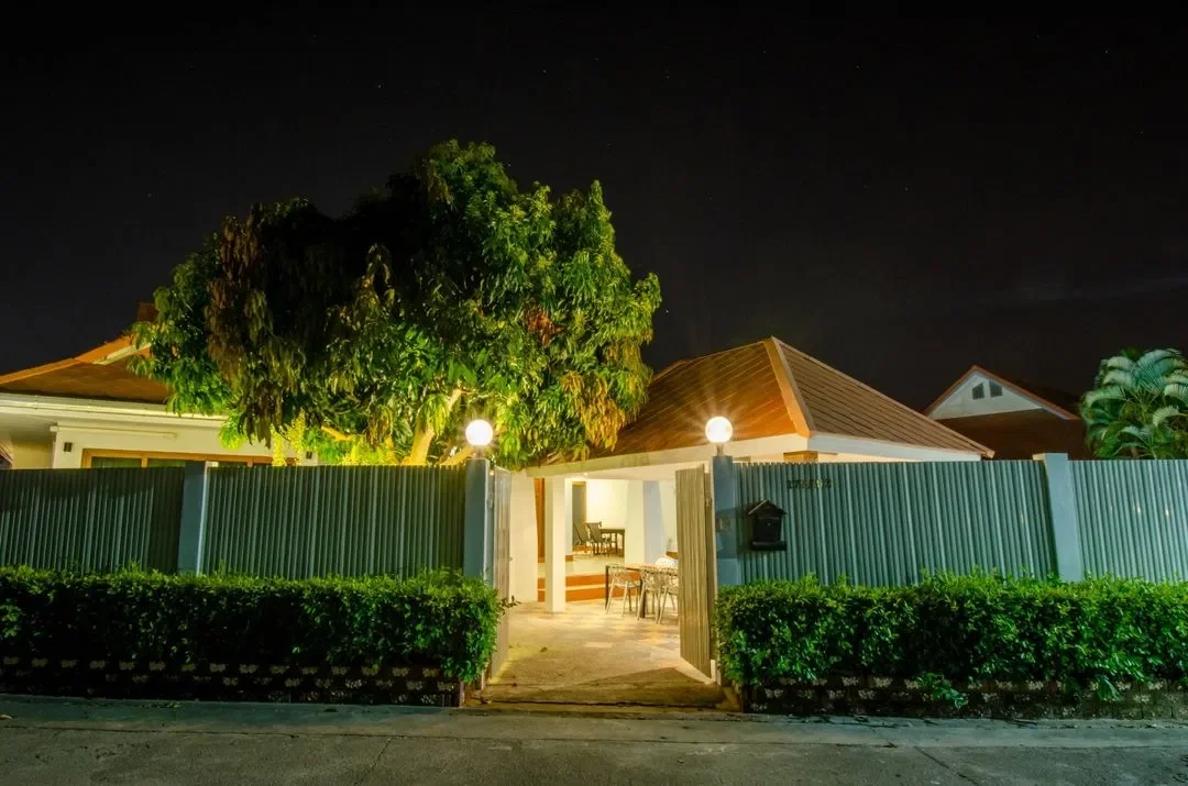 Mango tree รูปที่ 35